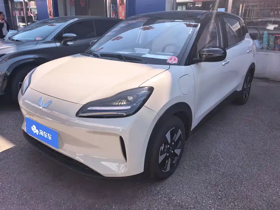 Wuling Motors Wuling Binguo PLUS 2026 2024 Model 330km 5-Seater