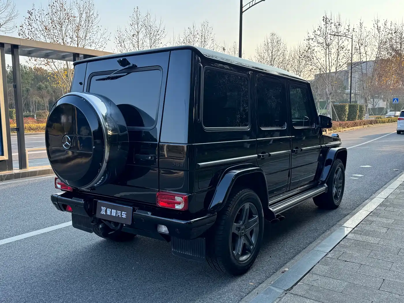 Mercedes-Benz G-Class 2017 G 500 фото 6