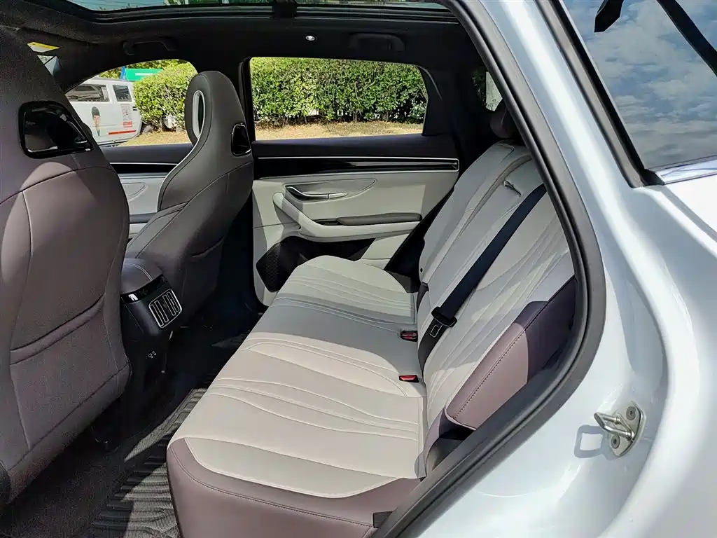 BYD SONGJIANG NEW ENERGY