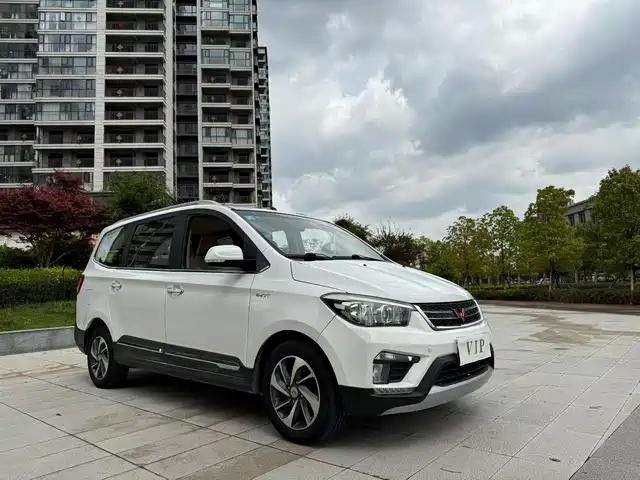 WULING WULING HONGGUANG