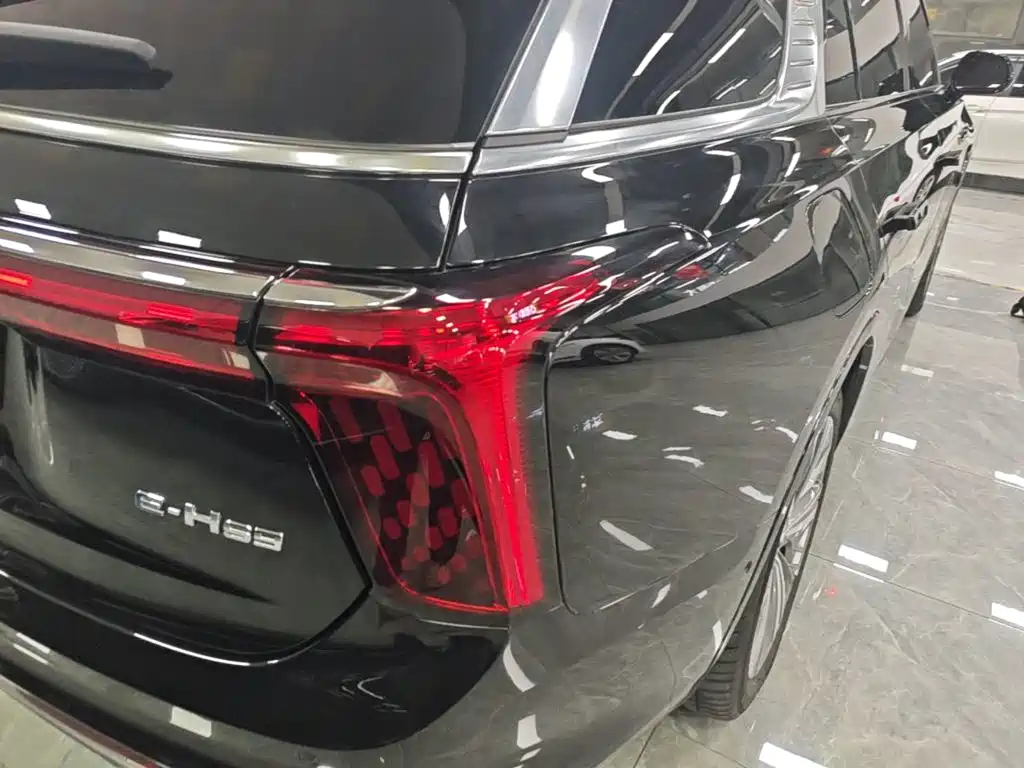 Photo 8 - Hongqi E-HS9