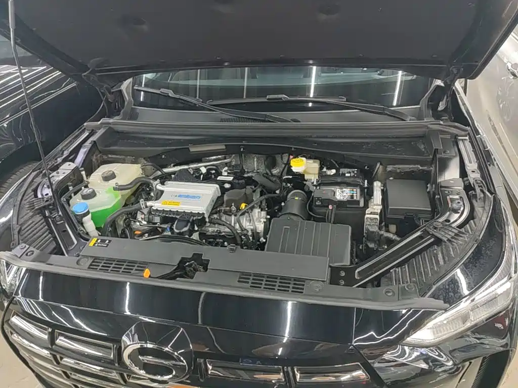 GAC Trumpchi Trumpchi GS4 2026 2024 MAX 1.5T Flagship Edition