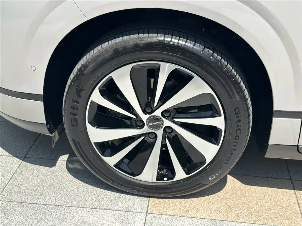 BYD SEA LION 06 NEW ENERGY