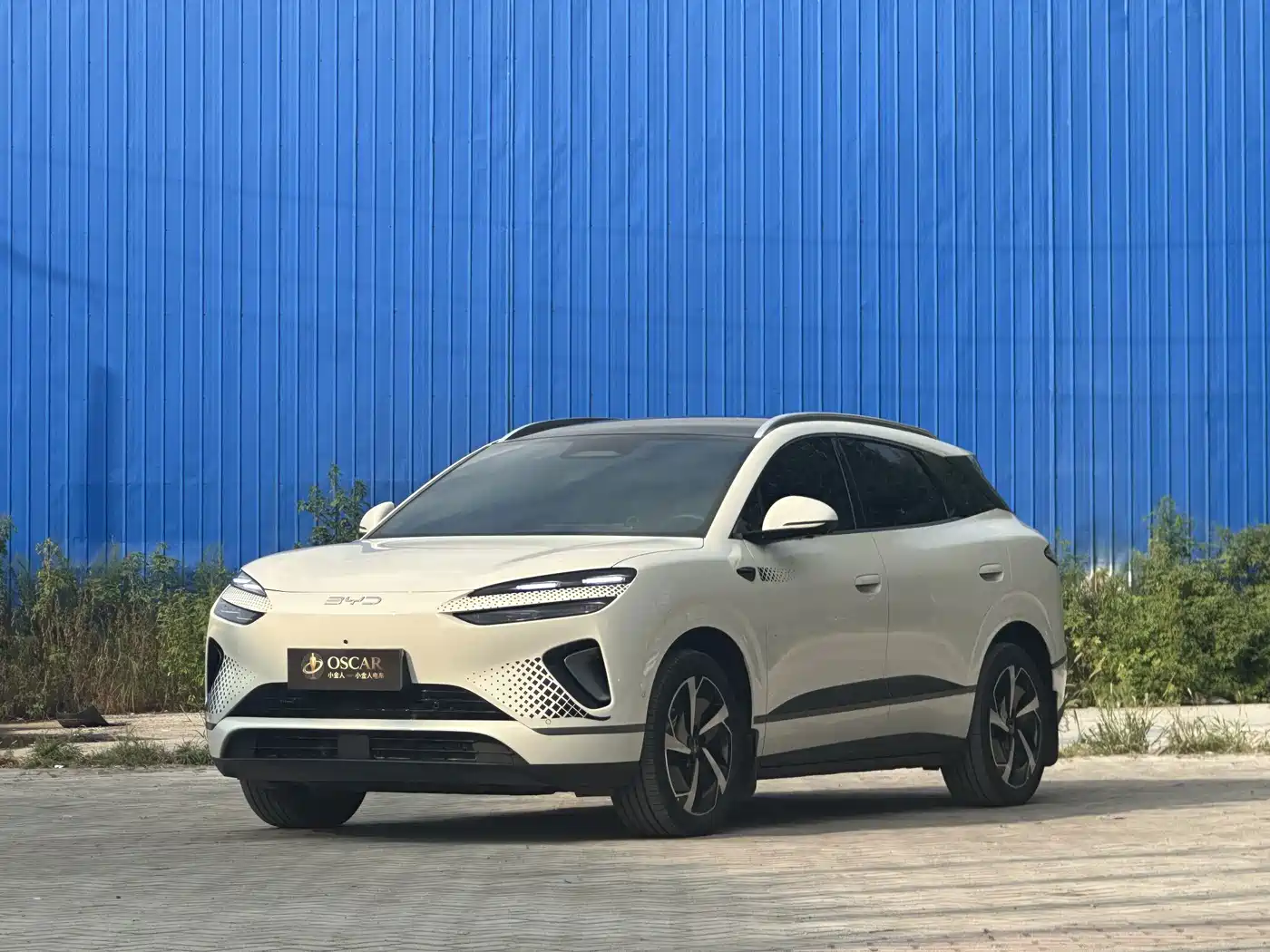 BYD Sealion 06 New Energy 2025