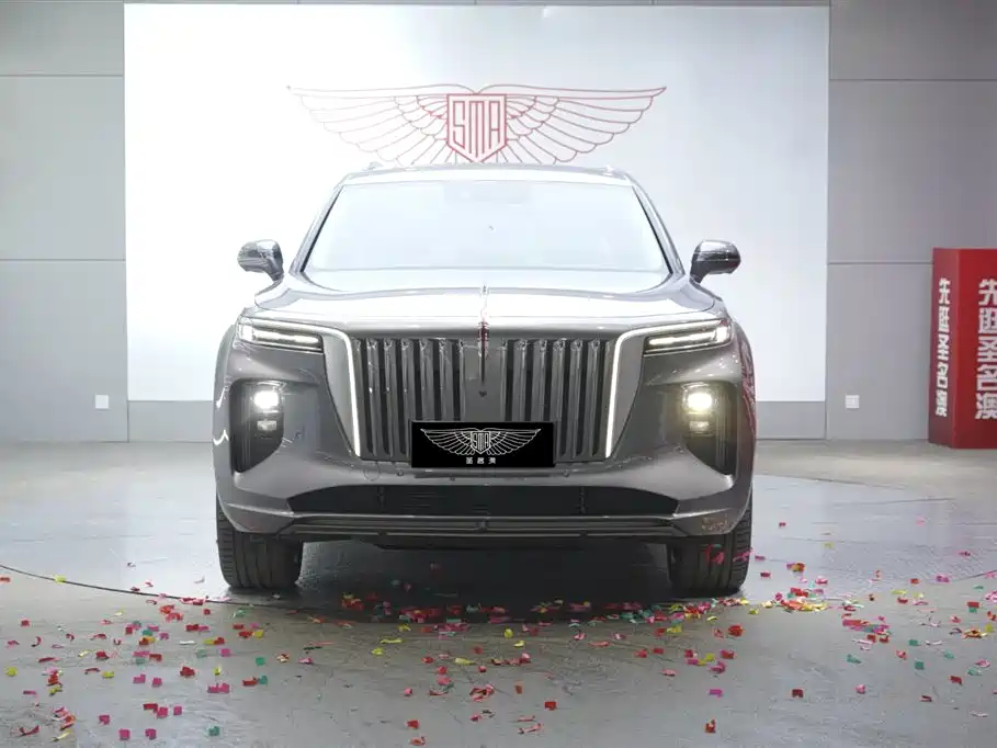 Hongqi E-HS9 2021 460km Flagship Comfort 6-seater фото 2