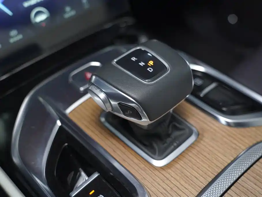 Hongqi E-HS9 2021 460km Flagship Comfort 6-seater фото 13