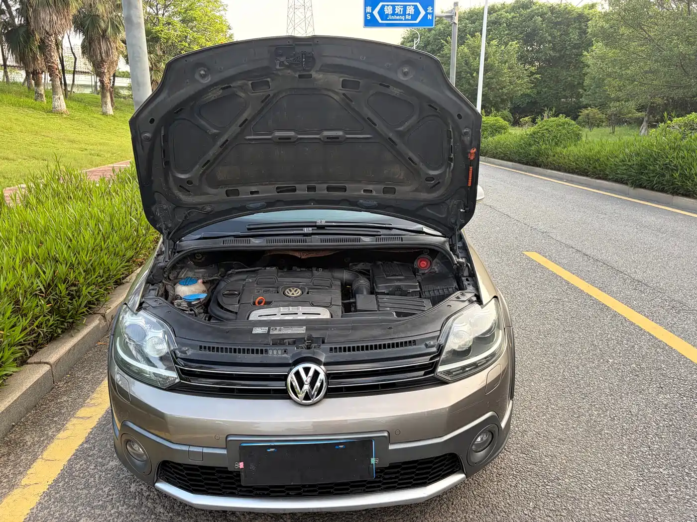 Volkswagen Golf (Import) 2011 1.4TSI Cross Golf фото 6