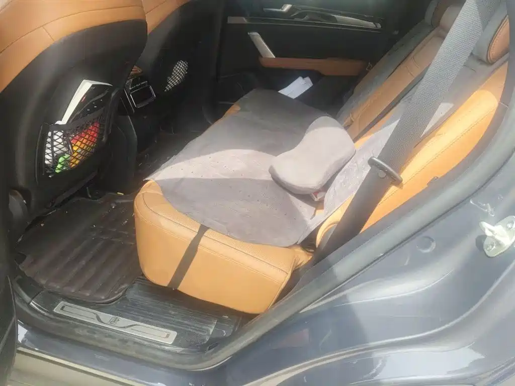 BYD Tang New Energy 2022 DM-p 215KM AWD Flagship фото 14