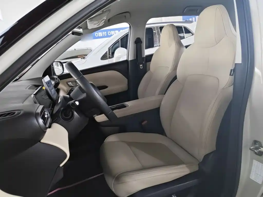 Wuling Motors Wuling Binguo PLUS 2025 2024 Model 330km 5-Seater