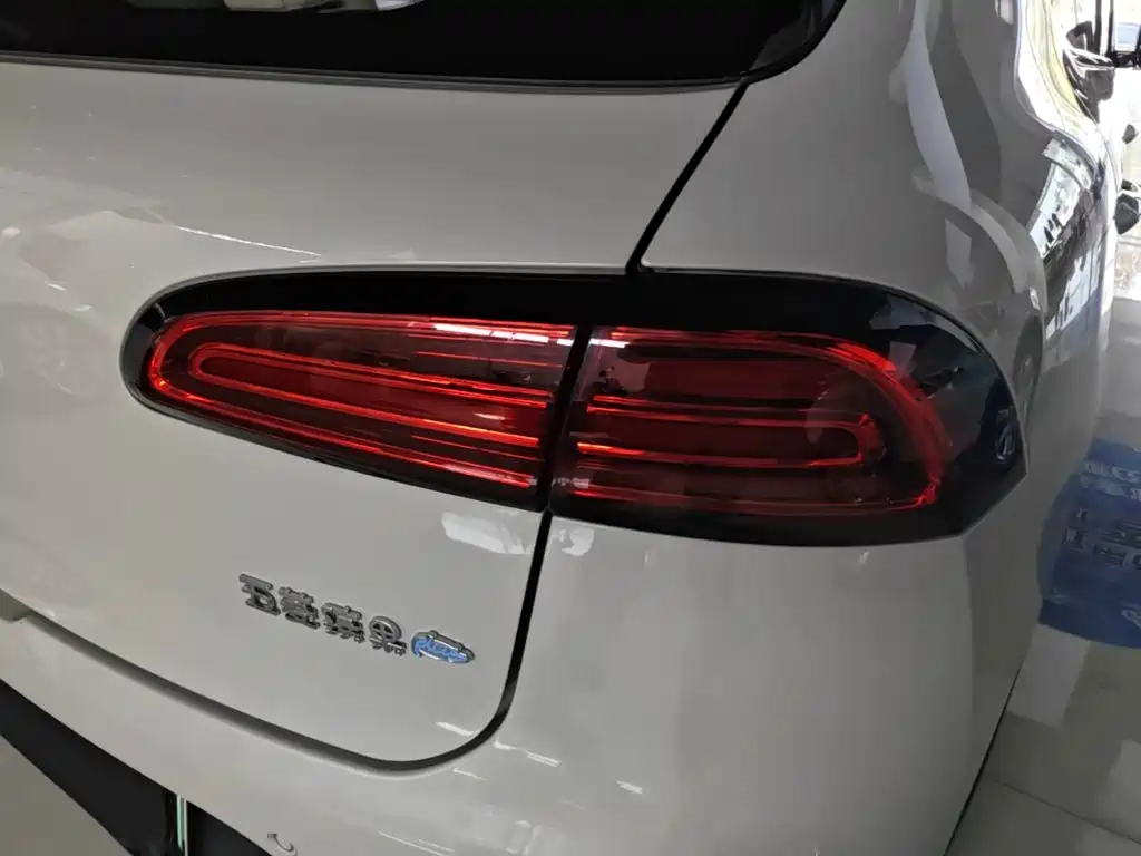 Wuling Motors Wuling Binguo PLUS 2025 2024 Model 330km 5-Seater