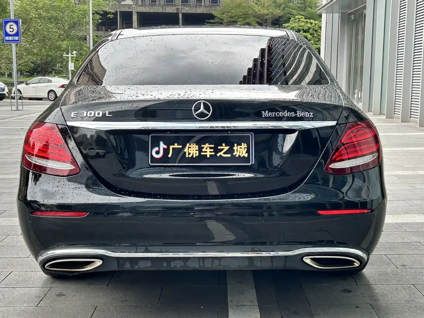 Mercedes-Benz E-Class 2020 E 300 L Luxury Model фото 5
