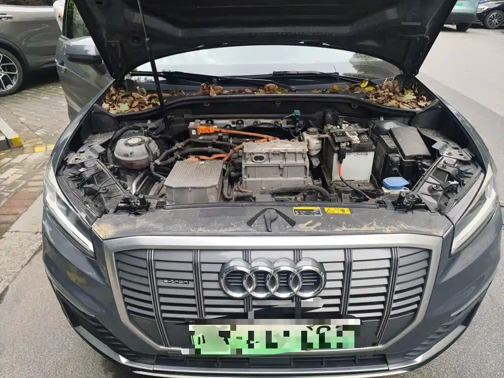 Audi Q2L e-tron 2020 2019 Q2L e-tron Pure Electric Smart Cool Edition