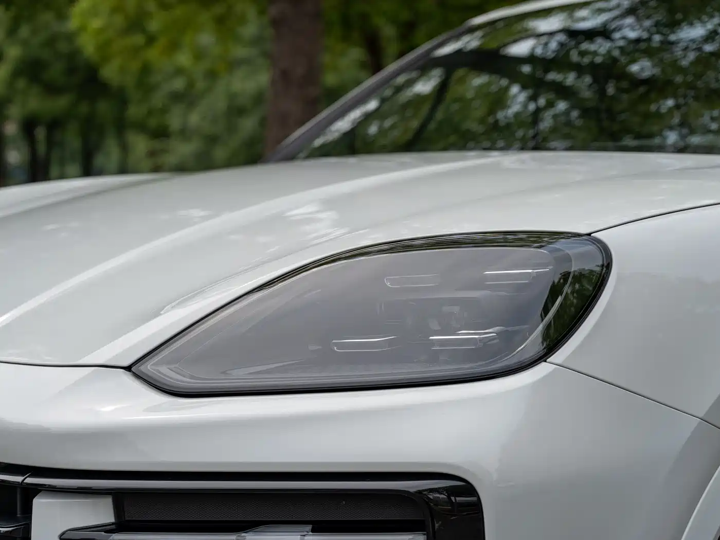 Porsche Cayenne 2025 Cayenne 3.0T Dream Chaser Edition фото 24