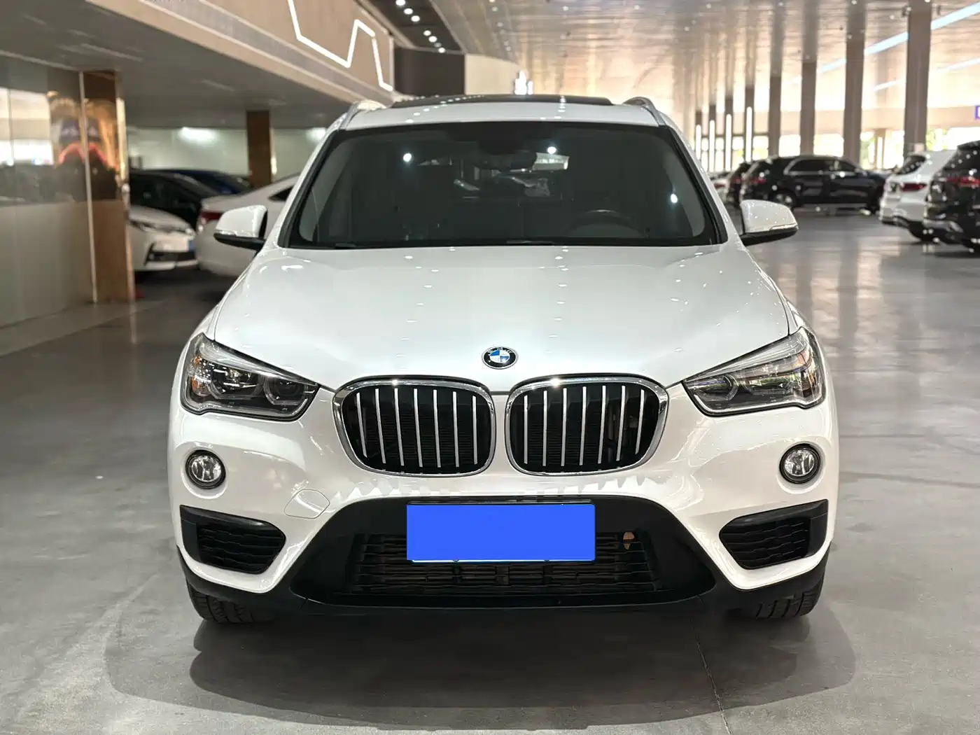 BMW X1 2018 sDrive20Li Leading Model фото 2