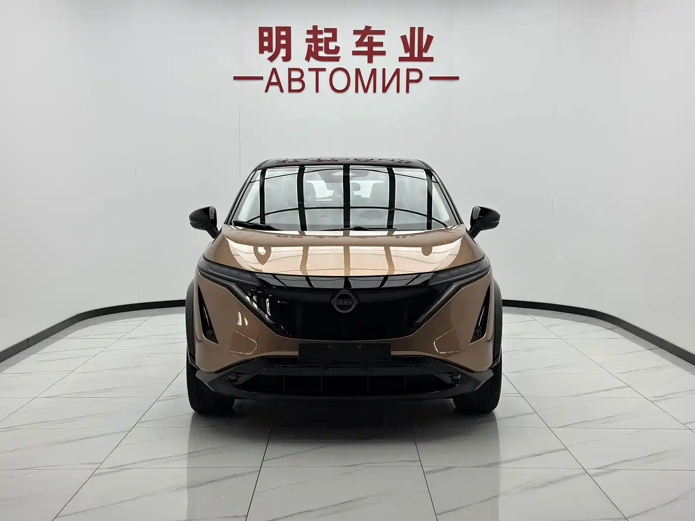 Nissan ARIYA 2023 2023 Model 500