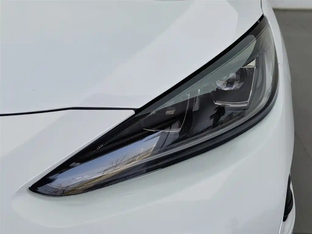 ARCFOX EXTREME FOX POLAR FOX ALPHA S