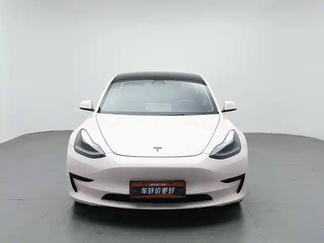 Tesla Model 3 2021 Standard Range Rear-Wheel Drive Upgrade 3D6 — фото 3
