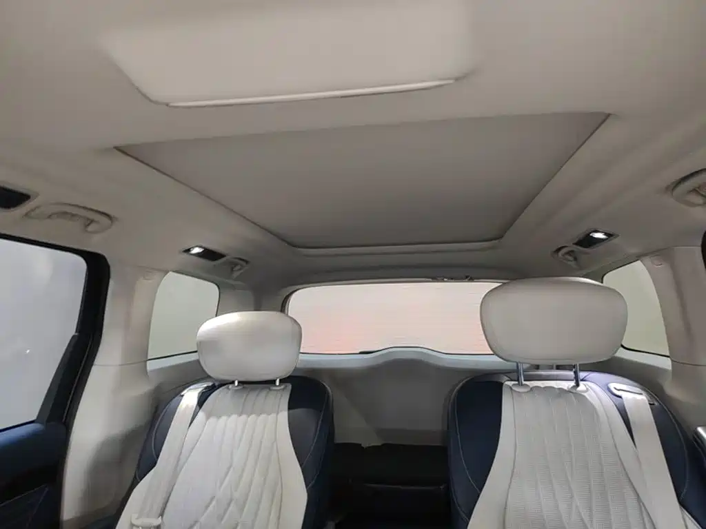 SAIC Maxus Dajia 9 2023 2022 Long Range Grassland 7-Seater