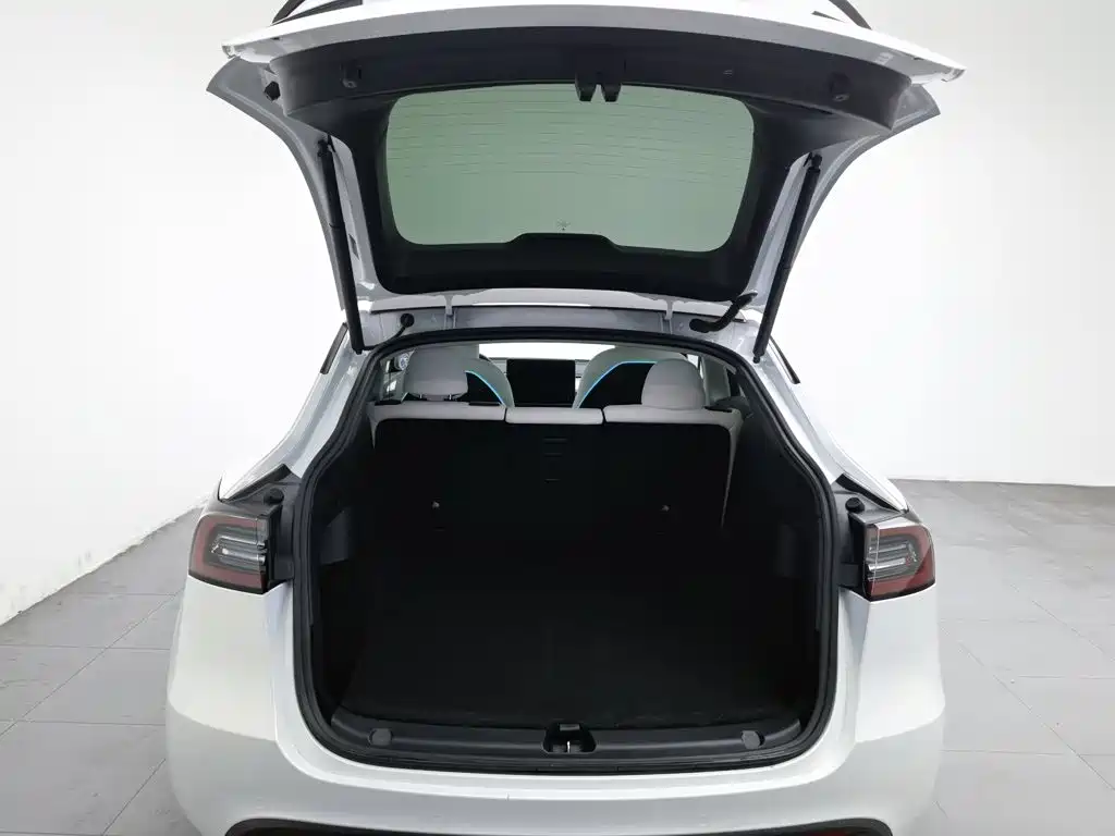 Tesla Model Y 2021 2021 Performance High-Performance AWD