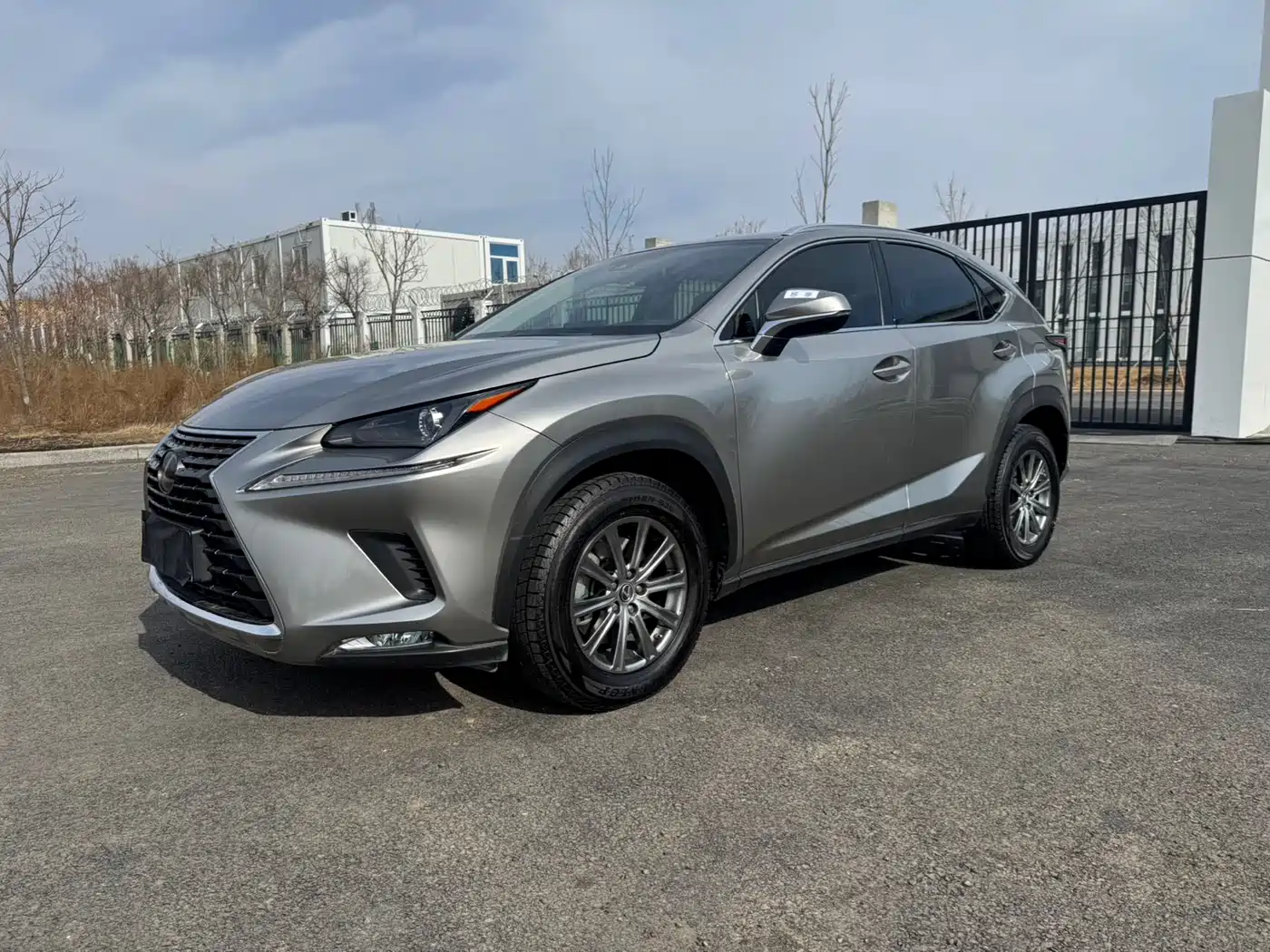 LEXUS NX