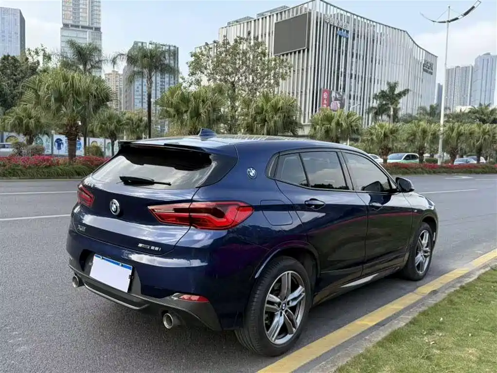 BMW X2 2020 sDrive25i Leading M Sport Package фото 9