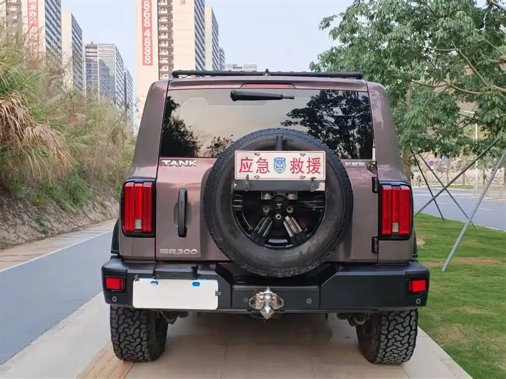 Tank 300 2023 Off-Road Edition 2.0T Conqueror фото 8