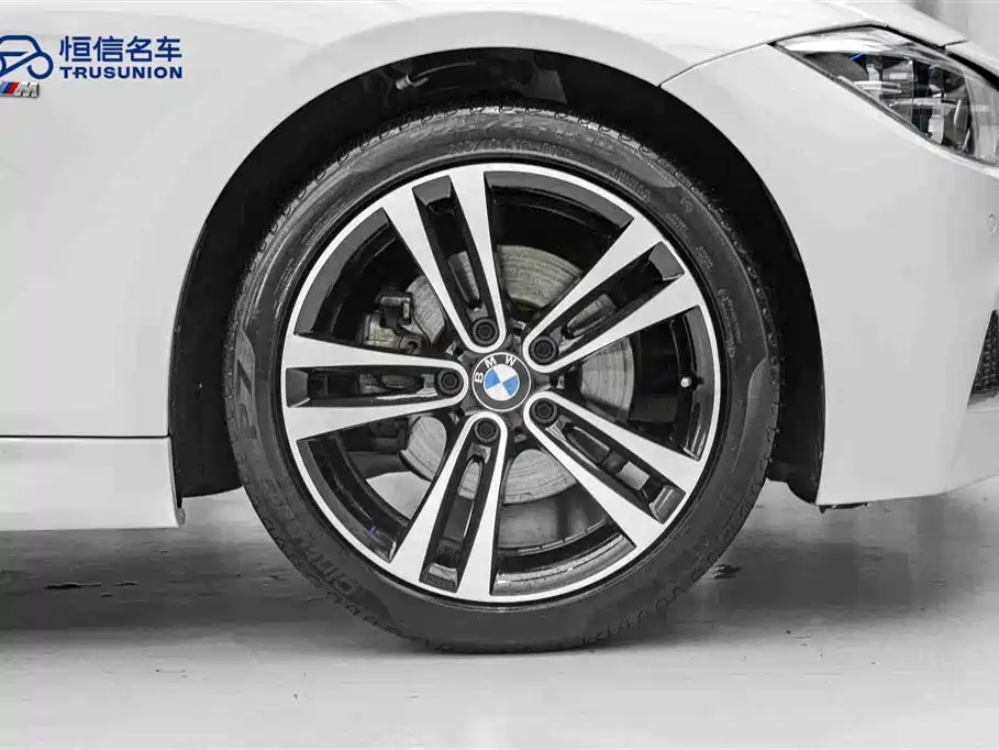 BMW 3 Series 2019 320Li M Sport Package фото 11