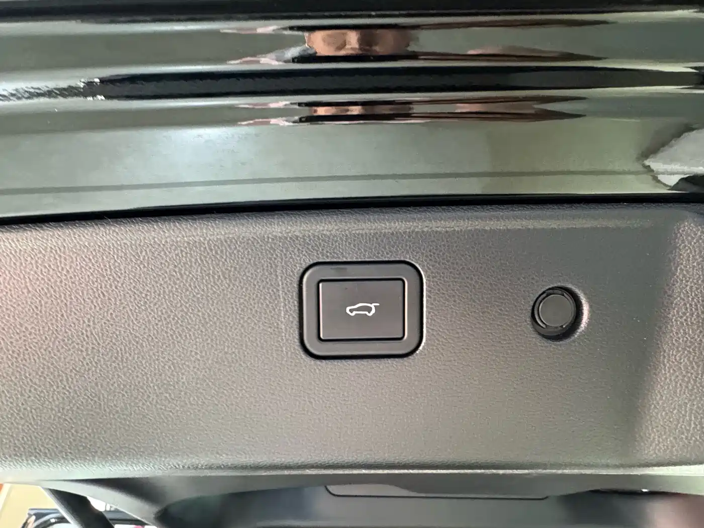 Haval Big Dog 2024 1.5T DCT Border Collie Edition фото 20