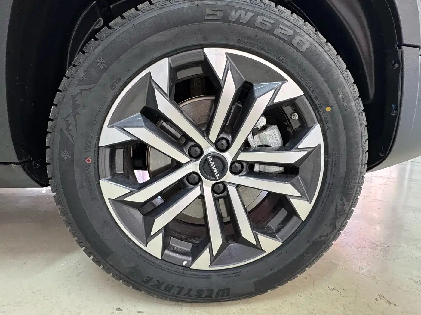 Haval Big Dog 2024 1.5T DCT Border Collie Edition фото 26