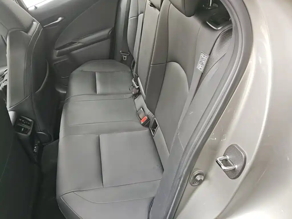 Lexus UX Electric 2021 2020 300e Pure Yue Edition