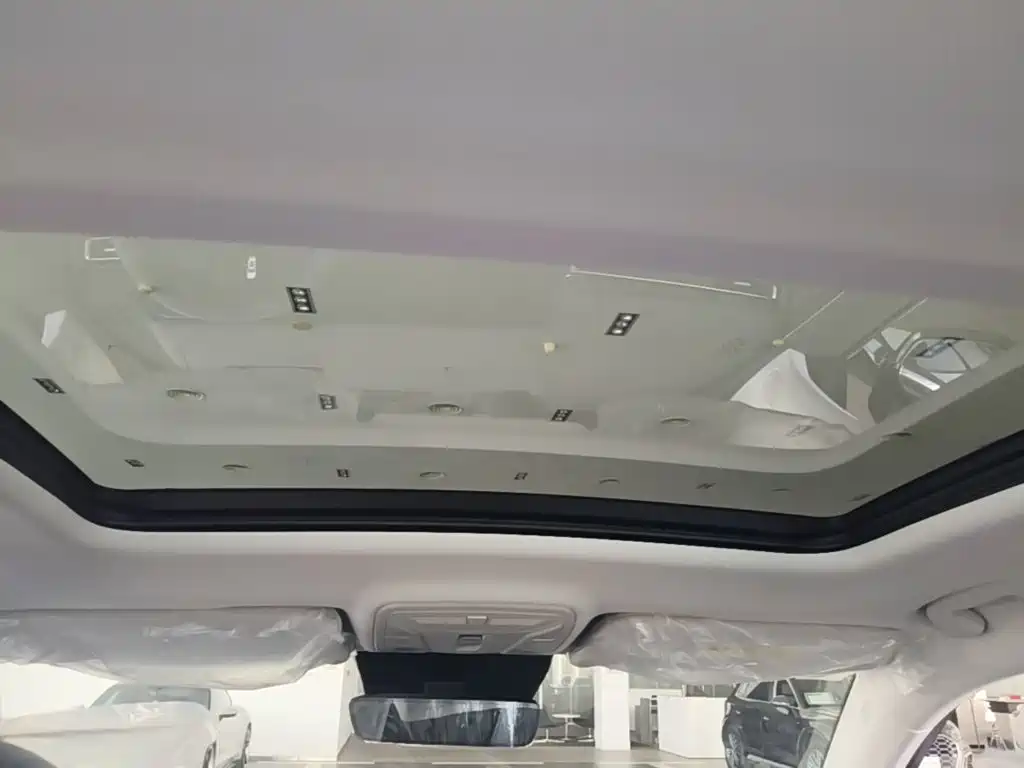 Hongqi HS5 2026 2025 2.0T 2WD Qixiang Pro
