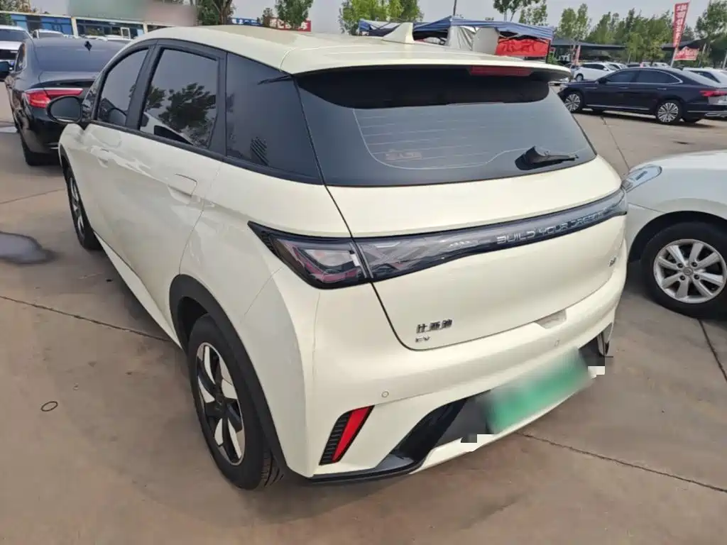BYD Dolphin 2025 2025 420km Freedom Edition