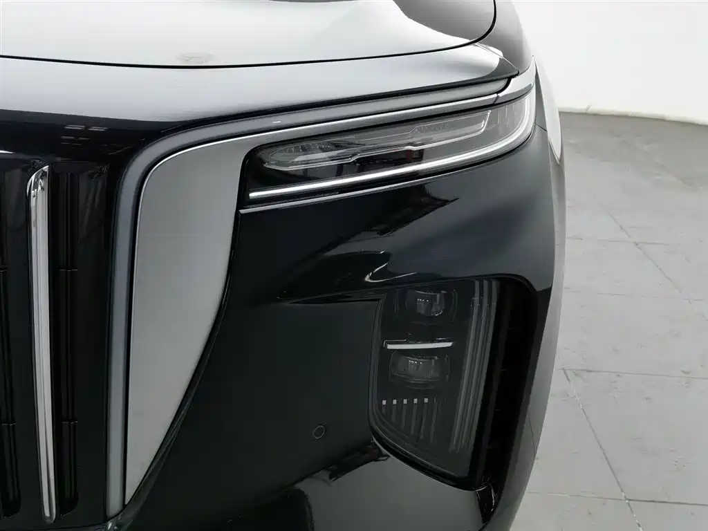 Hongqi HONGQI E HS9