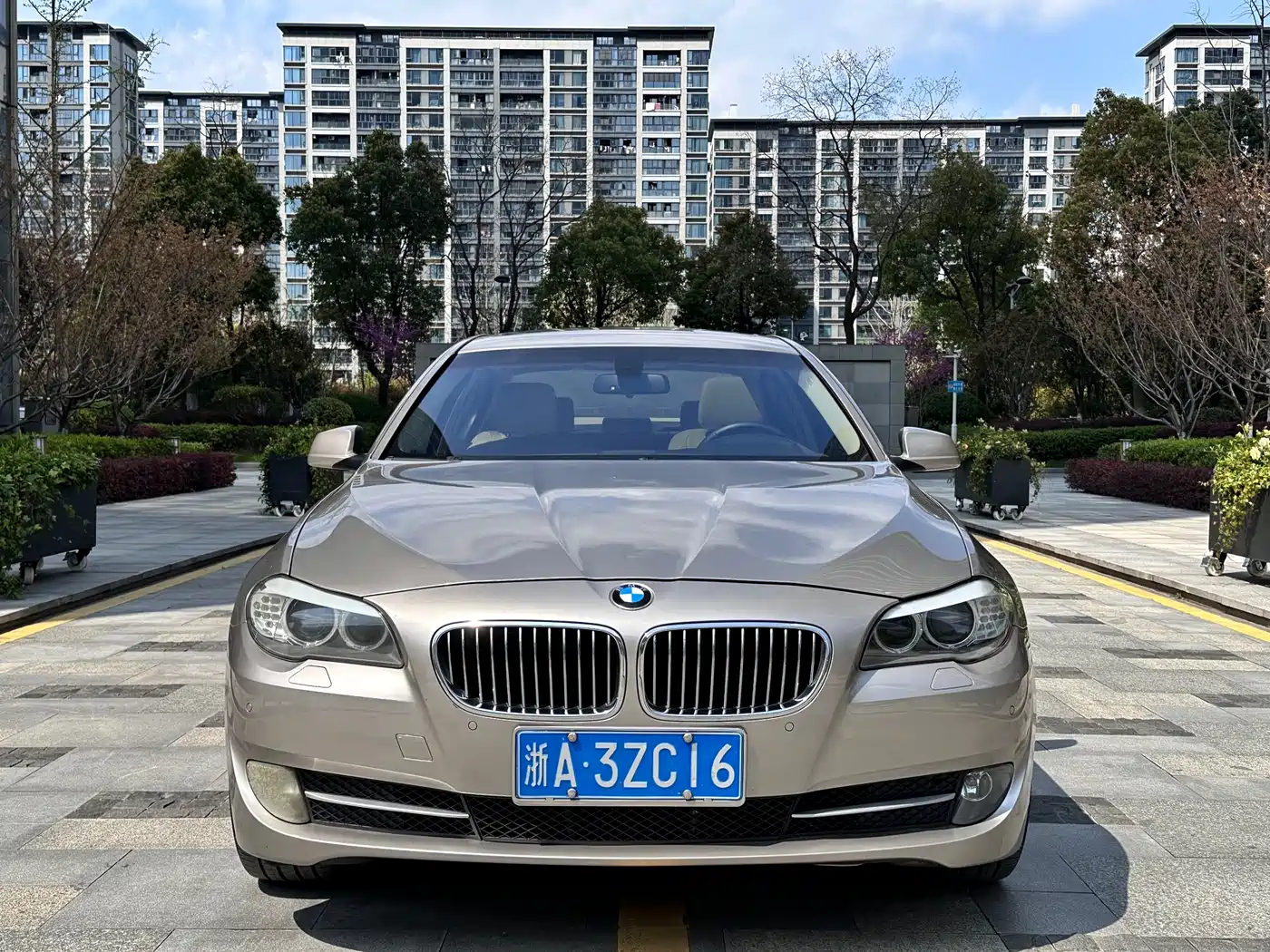 BMW 5 Series 2013 530Li Leadership фото 2