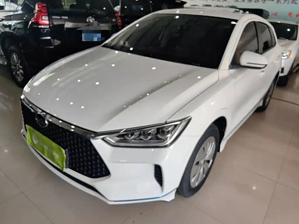 BYD e2 2019 Standard Range Yue·Standard Model