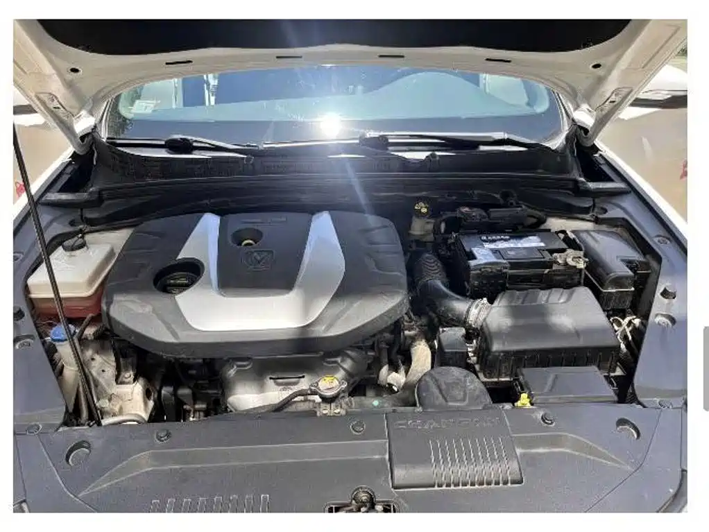 Фото 3 - Changan Eado