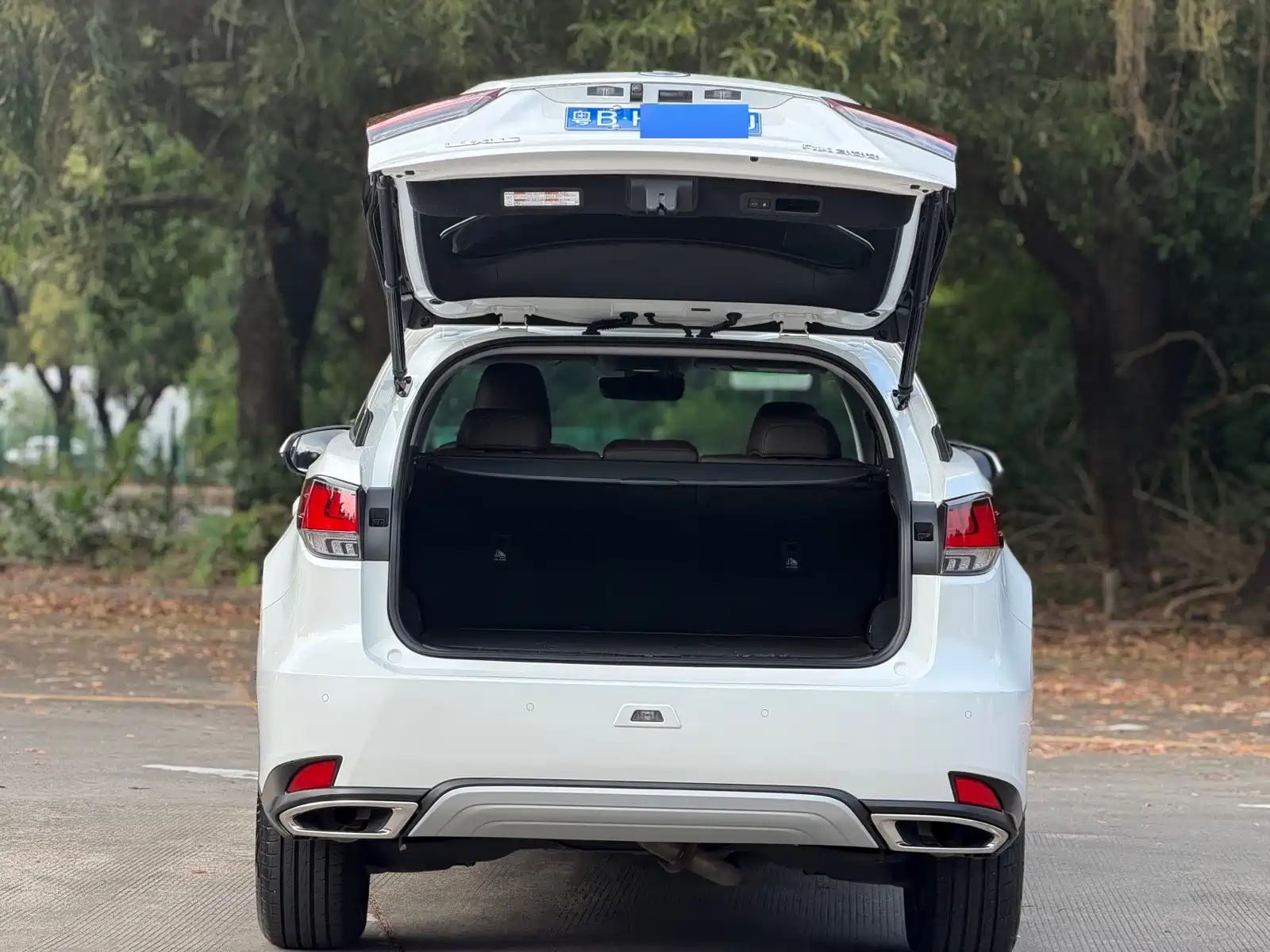 Фото 14 - Lexus RX