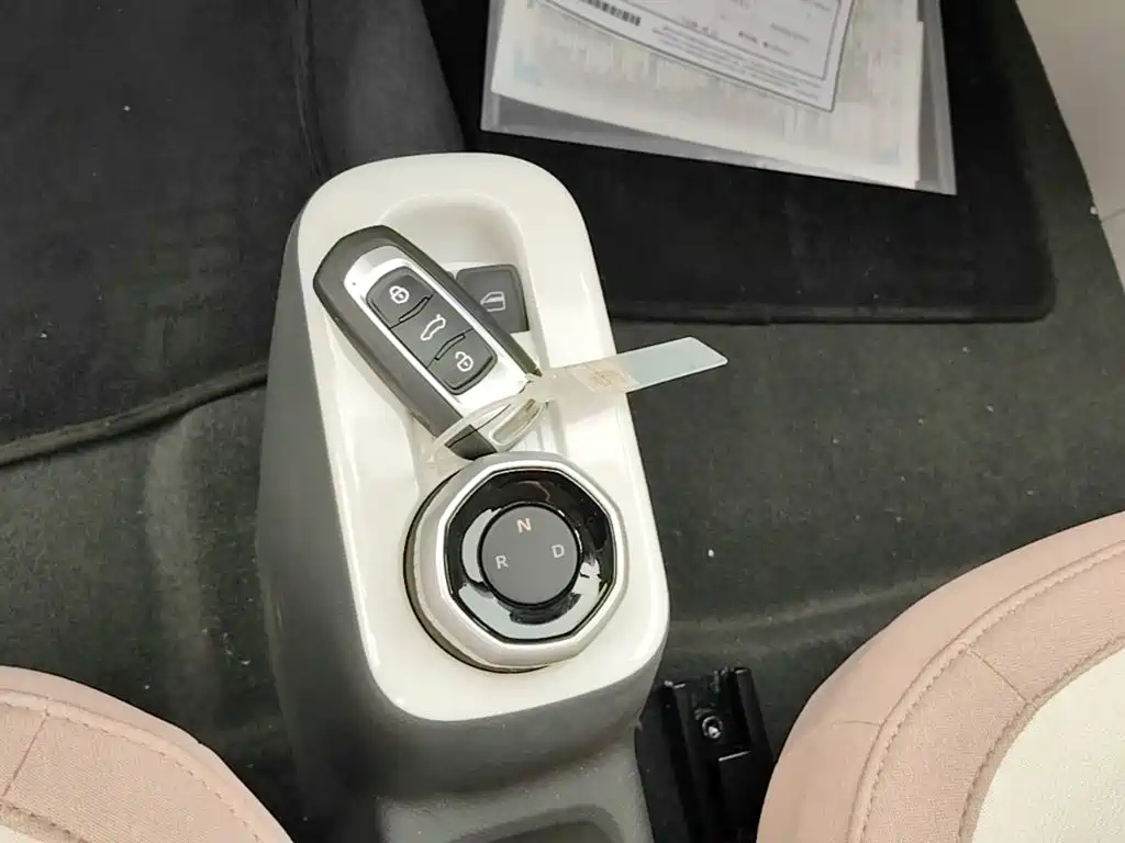 Geely Galaxy Panda 2026 2025 Panda mini 210km Vitality Bear