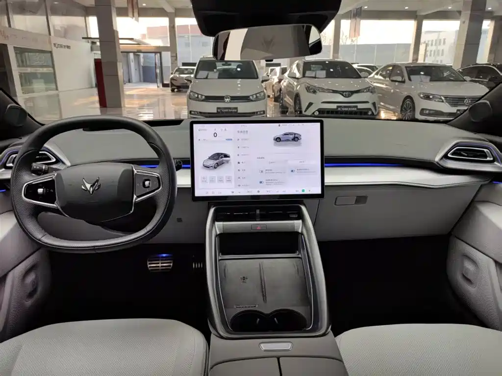 ARCFOX EXTREME FOX POLAR FOX ALPHA S5