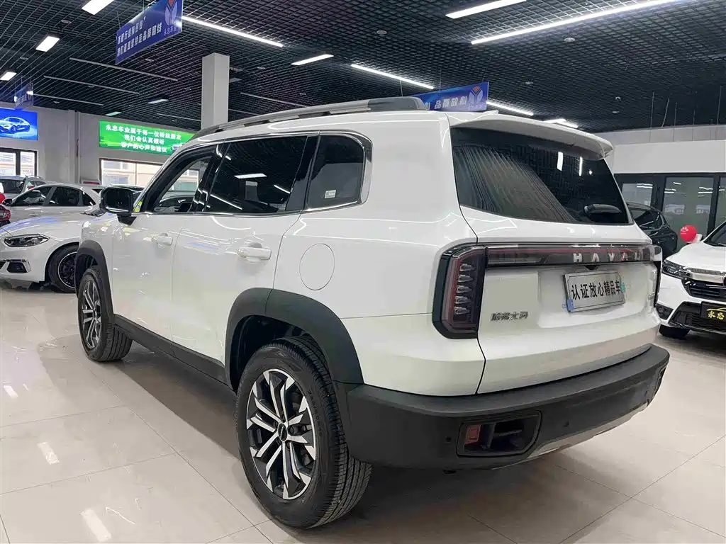 HAVAL BIG DOG