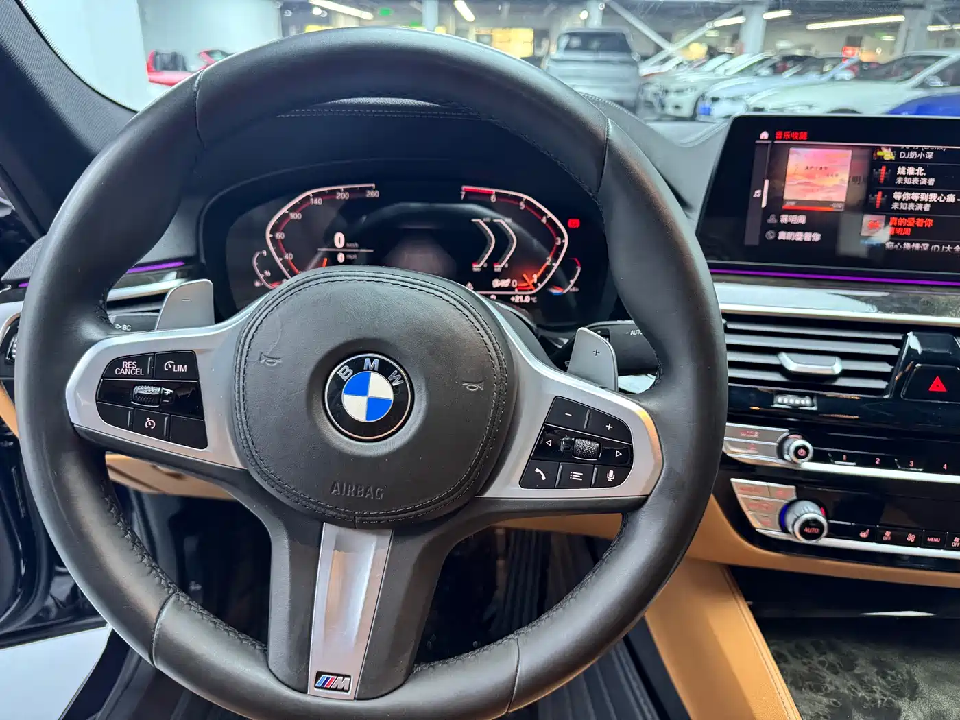 BMW 5 Series 2020 530Li Leading M Sport Package фото 11