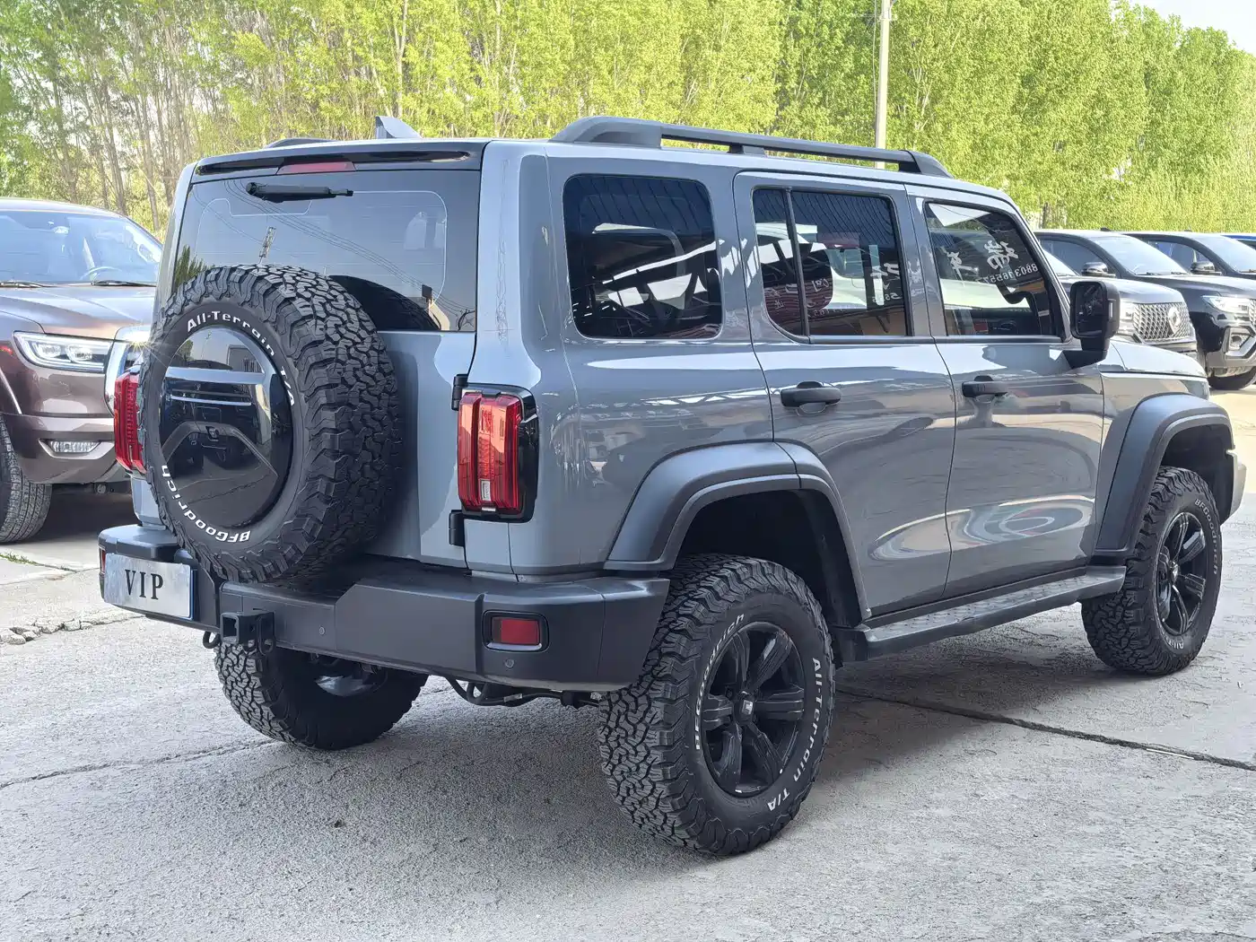 Tank 300 2023 Off-Road Edition 2.0T Conqueror фото 6