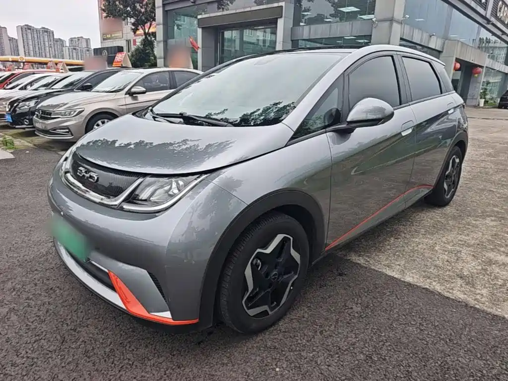 BYD Dolphin 2021 405km Freedom Edition