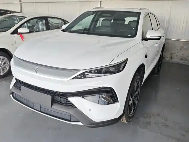 BYD Song Pro New Energy, 2026