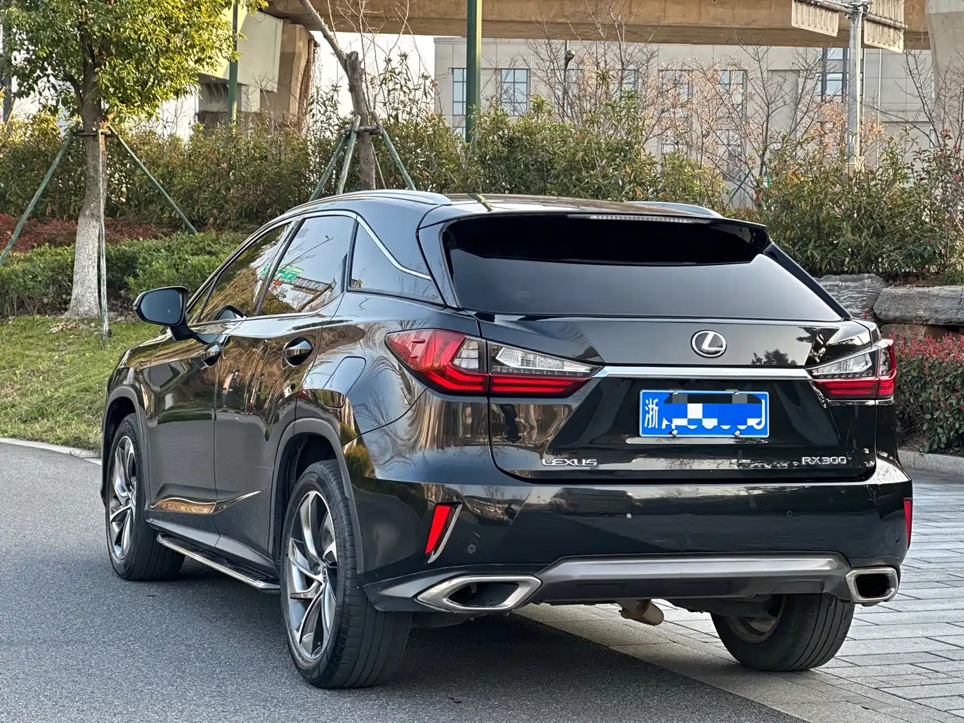 Lexus RX 2016 300 4WD Elegance Edition (China V) фото 4