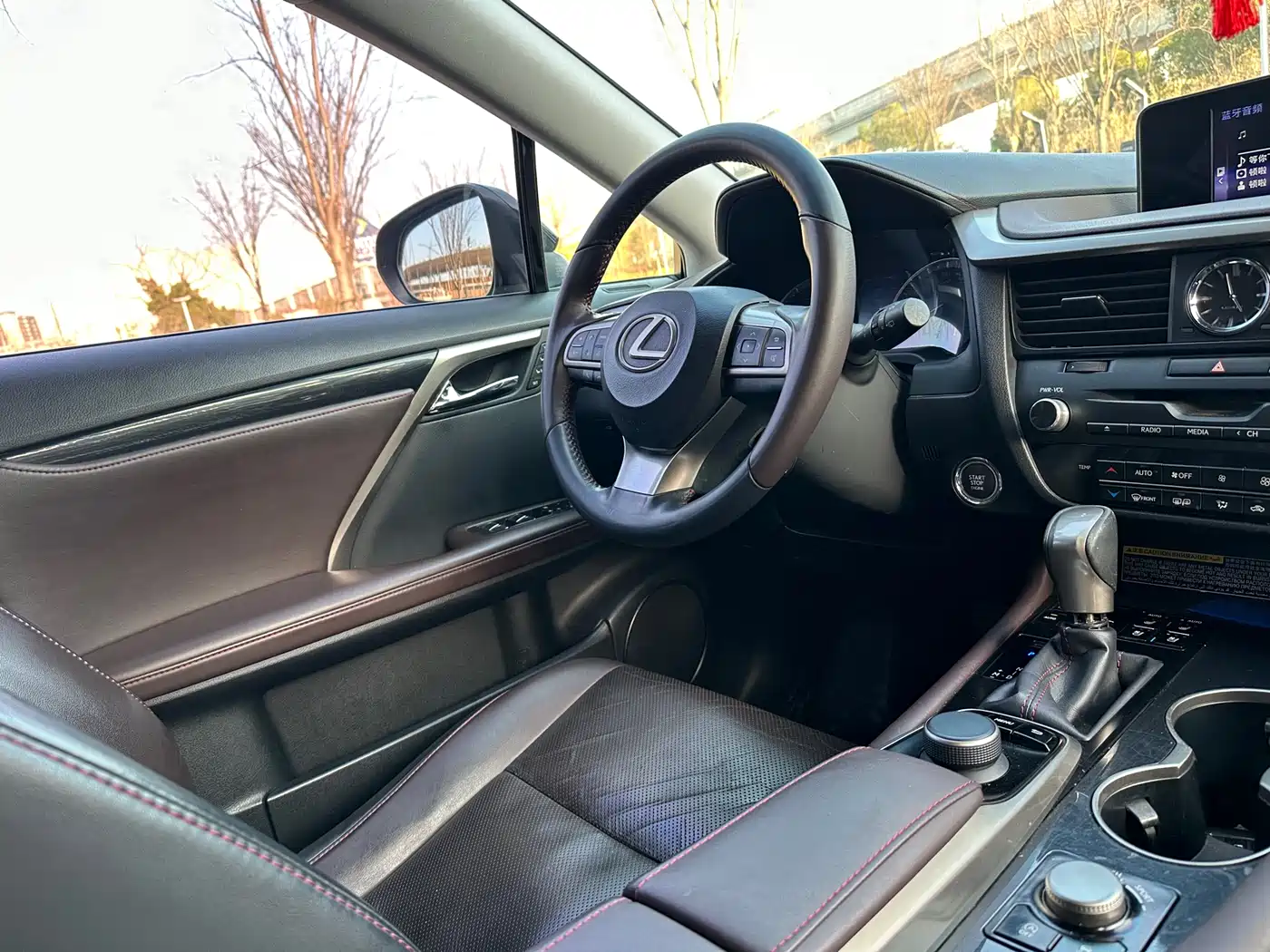 Lexus RX 2016 300 4WD Elegance Edition (China V) фото 12