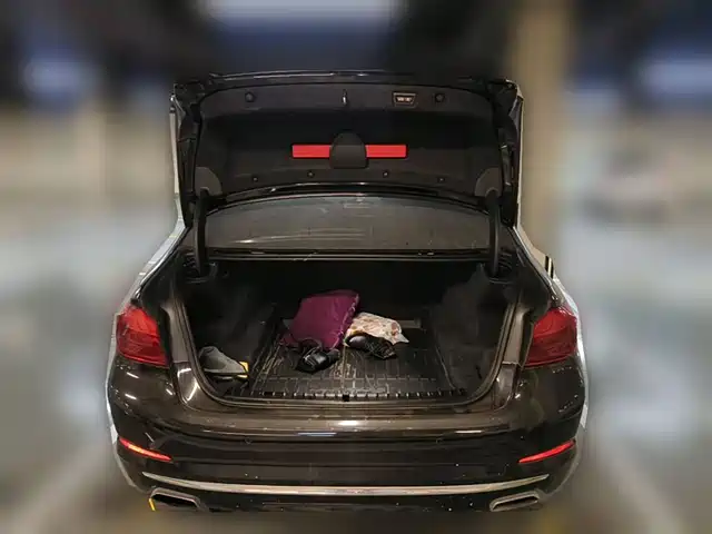BMW 5 Series 2020 530Li Premium Luxury Package — фото 5