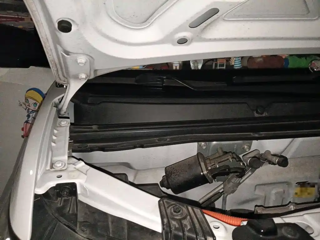 Photo 20 - Wuling Motors Hongguang MINIEV