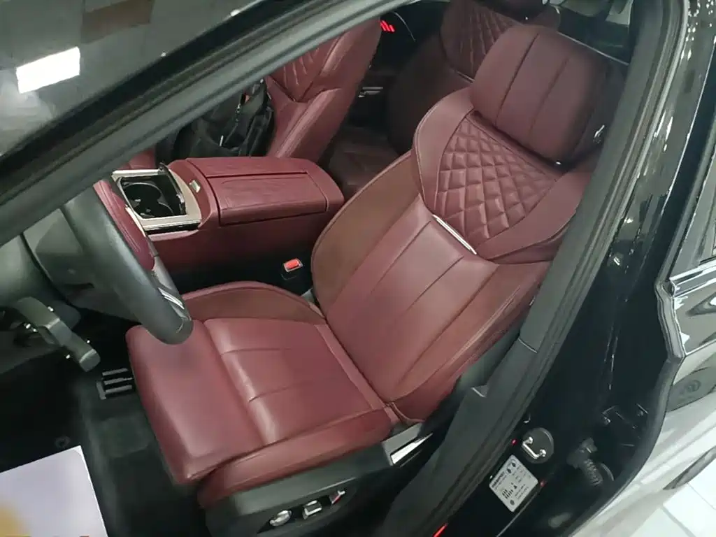 Фото 15 - Hongqi E-HS9