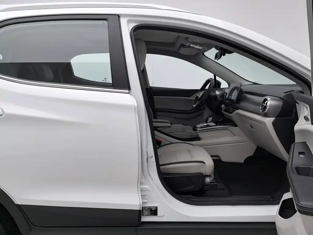 BYD Yuan Pro 2022 2021 401KM Premium Model